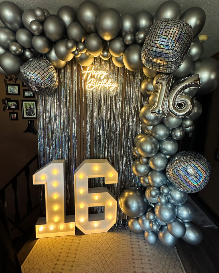 Silver Sweet 16 Disco Garland