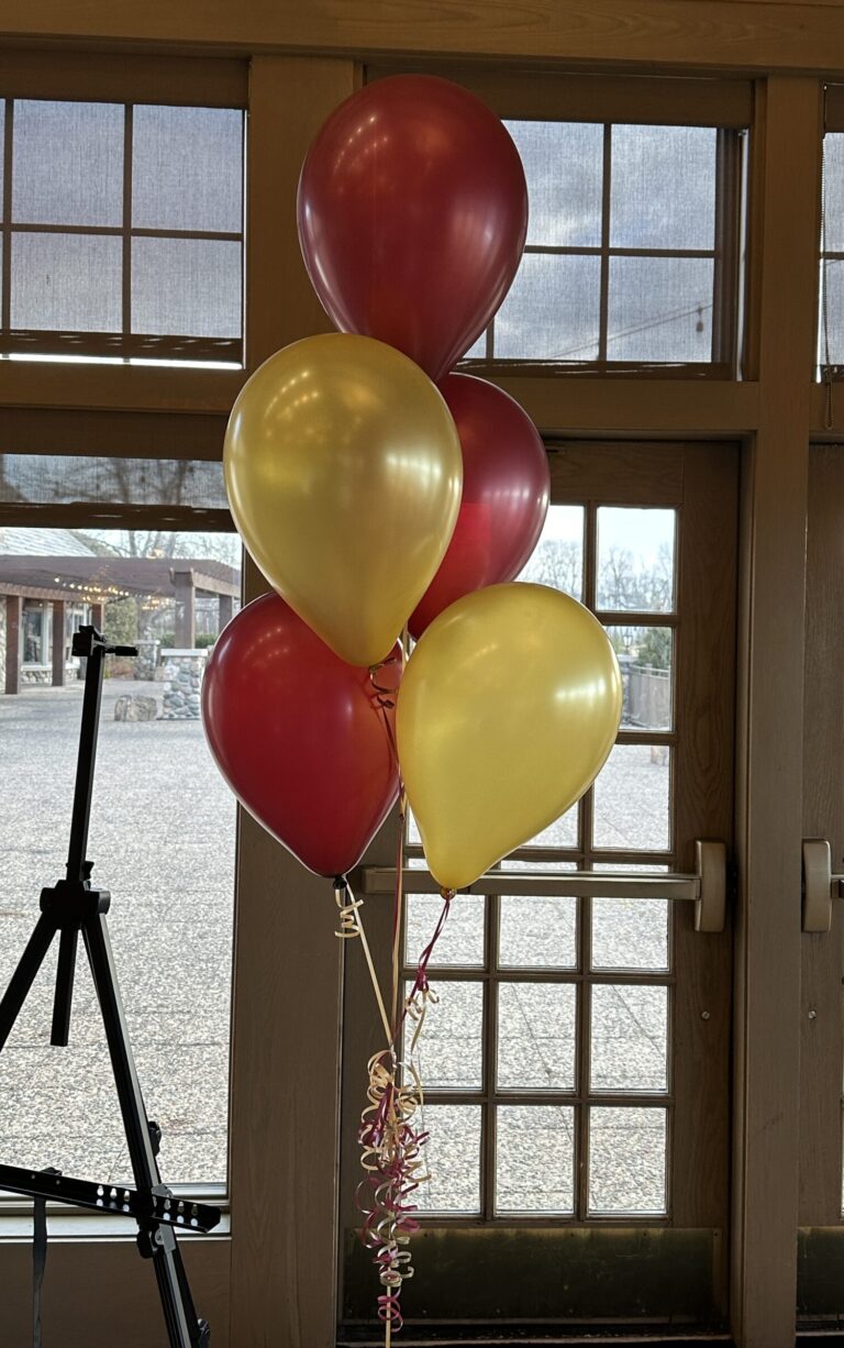 Bouquet of 5 latex balloons